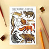 Alexia Claire | Large Mammals of Britain | Postcard | Conscious Craft